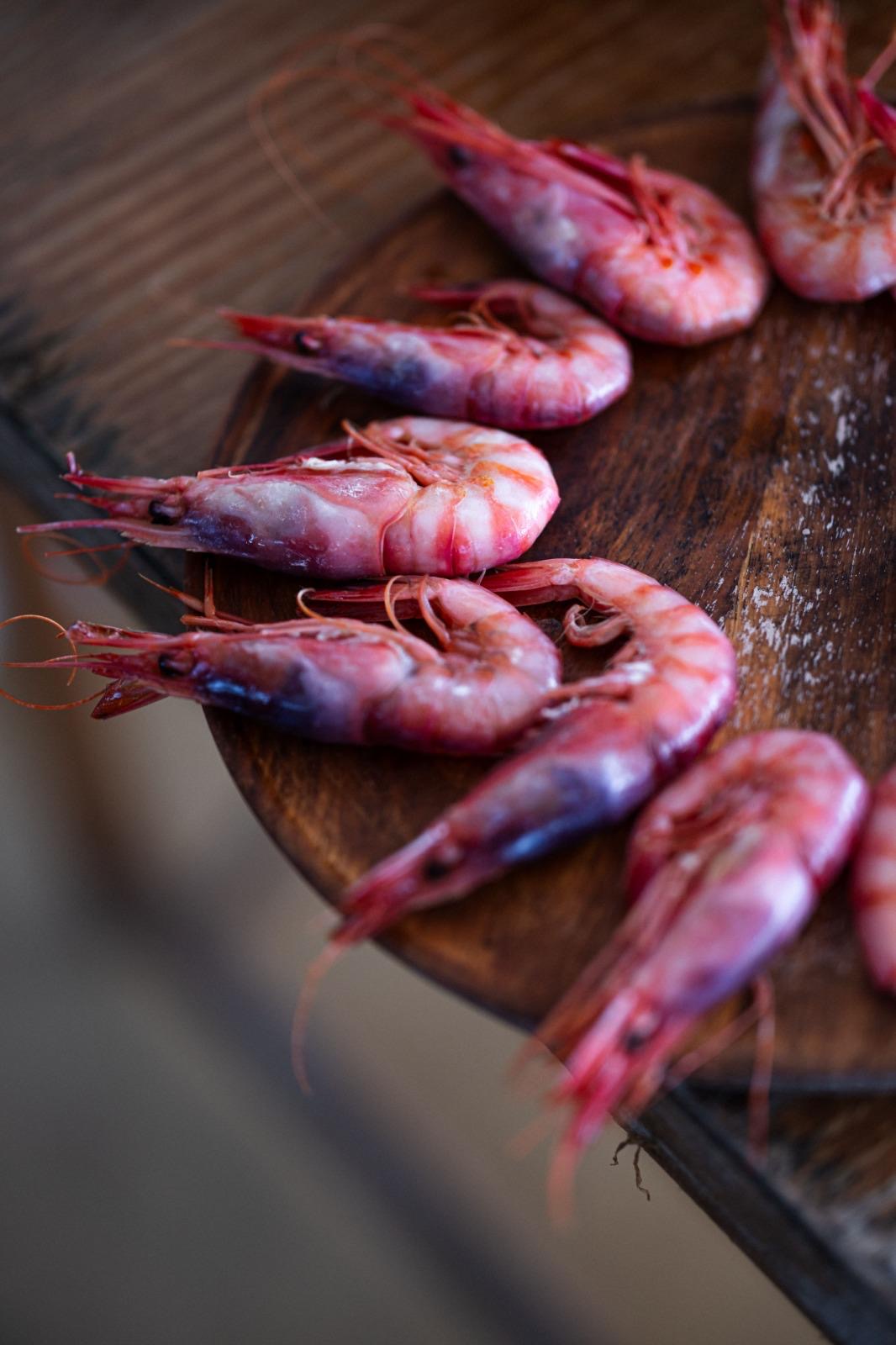 Gambas de Palamós frescas sobre tabla de madera a bordo